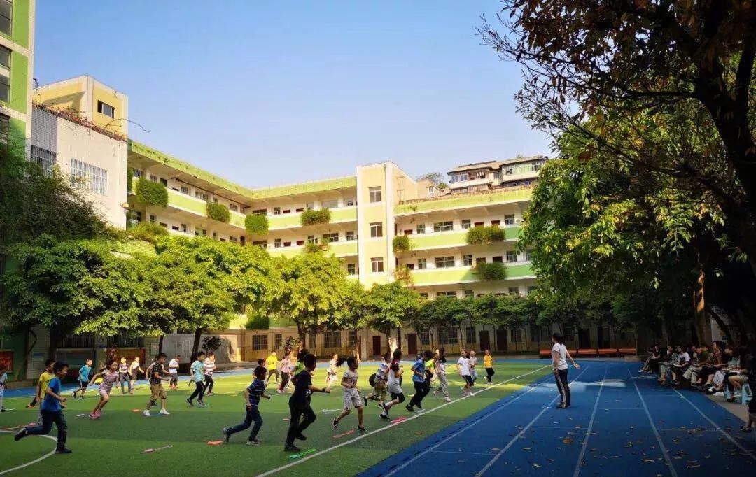 幼升小择校指南,幼升小择校怎样选