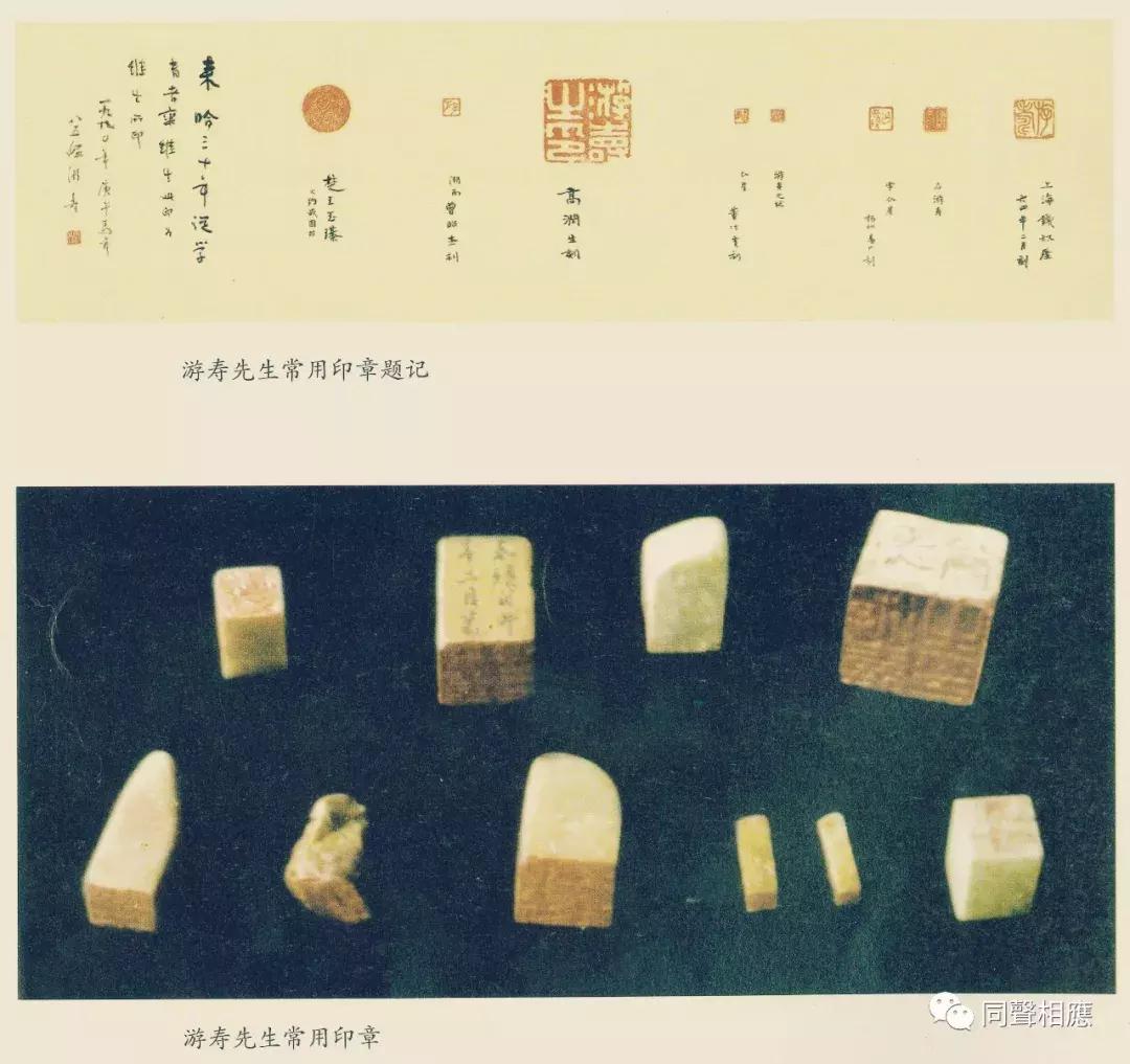 中国大宗师——你所不知的杰出女学者、大书法家游寿先生