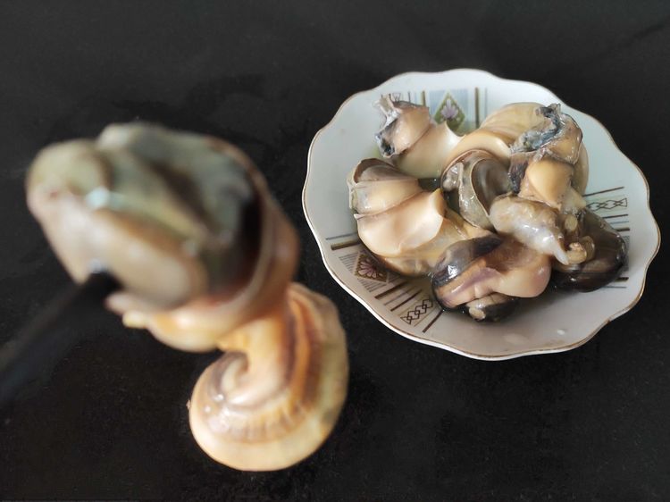 清蒸田螺做法大全家常,吃超大清蒸的田螺