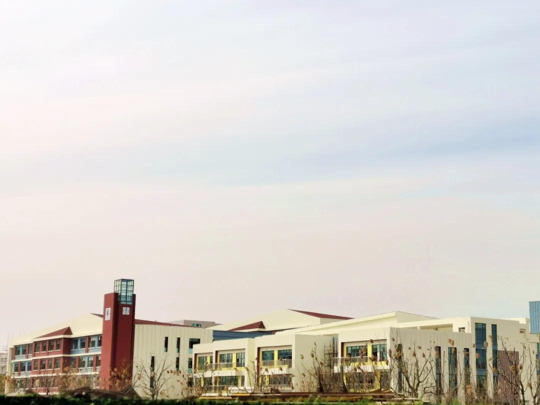 金鸡湖学校2024届,金鸡湖新校区在哪里