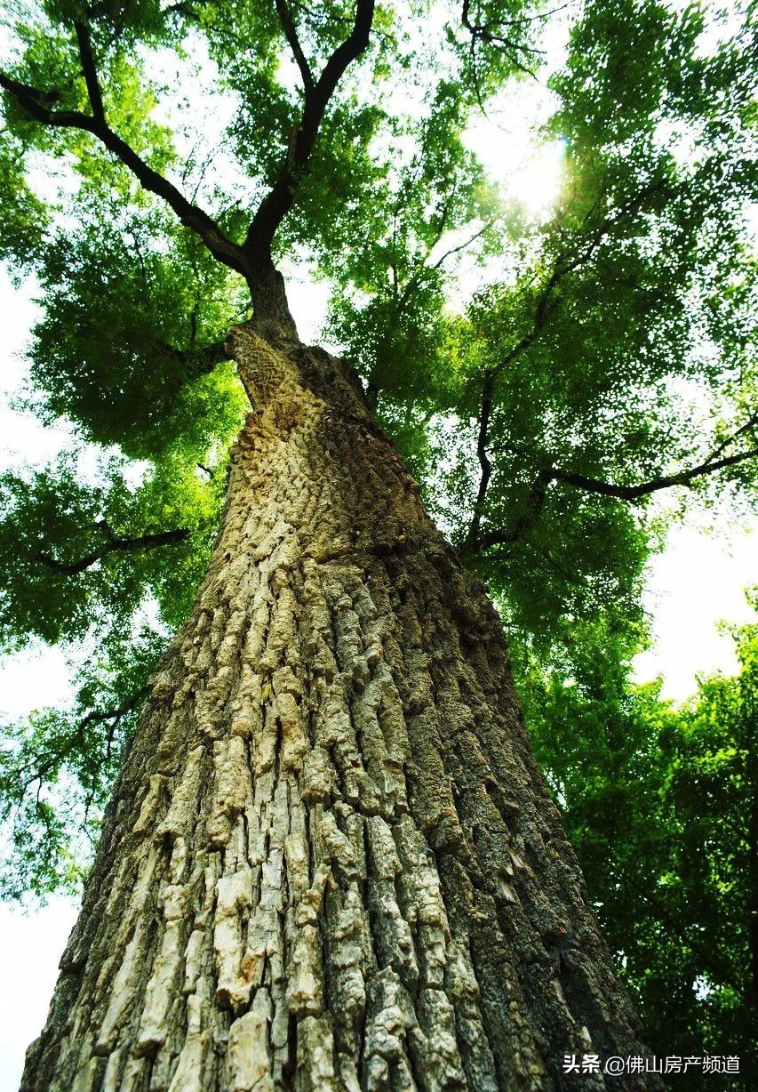 晨读激励人心的美好句子,晨读生命中遇到的每一个人