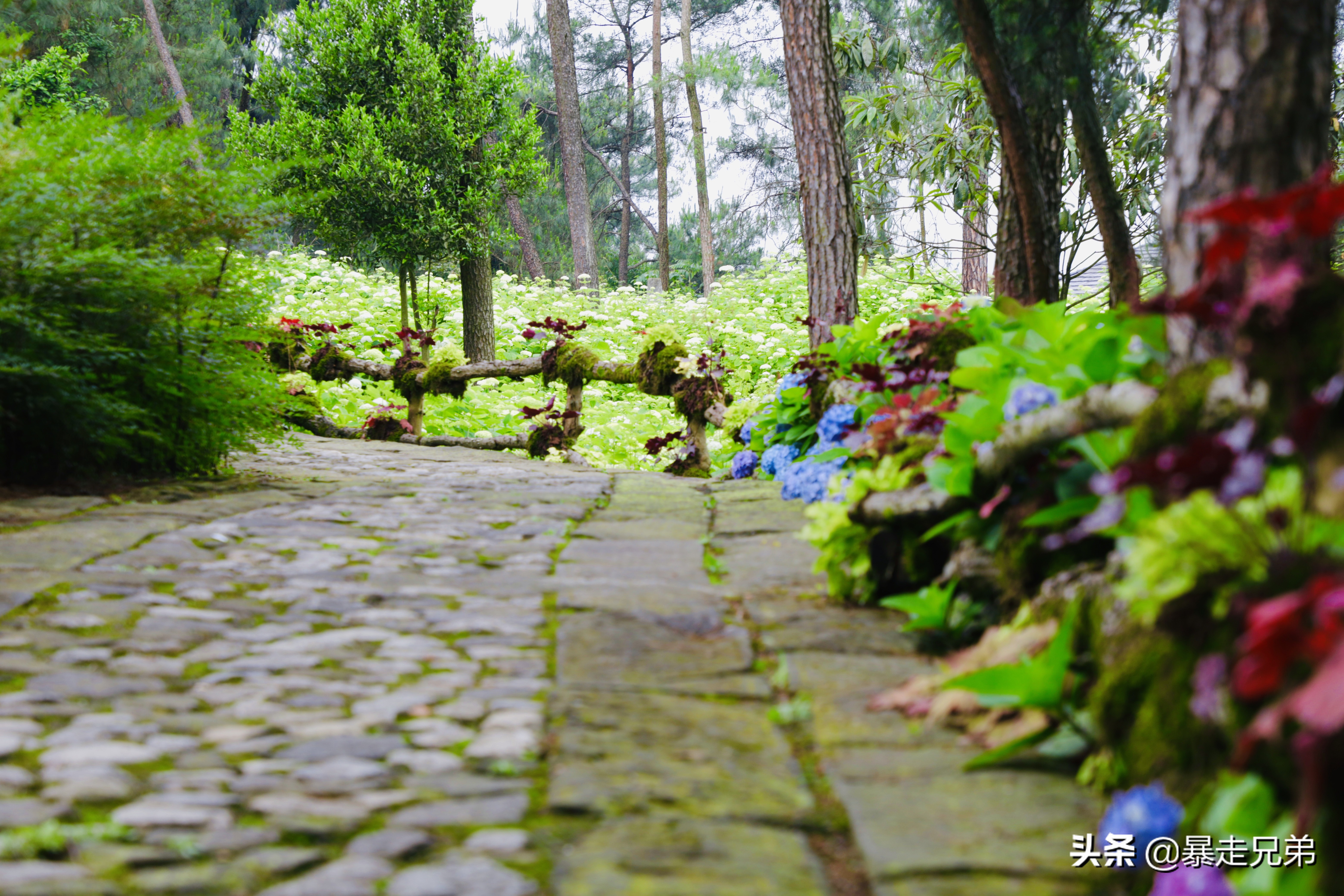 水下宝藏文物,水下国宝
