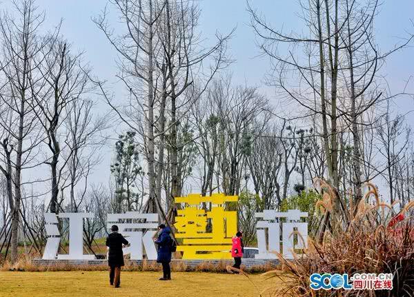 成都锦江绿道江家艺苑,成都锦城江家艺苑