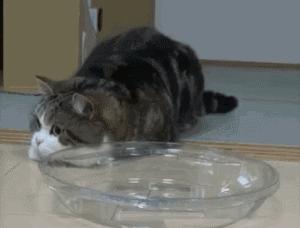 高考前突然来月经咋办,高考紧张失眠怎么治