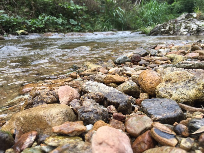 从化溪头自驾游视频,从化溪头村一日游路线