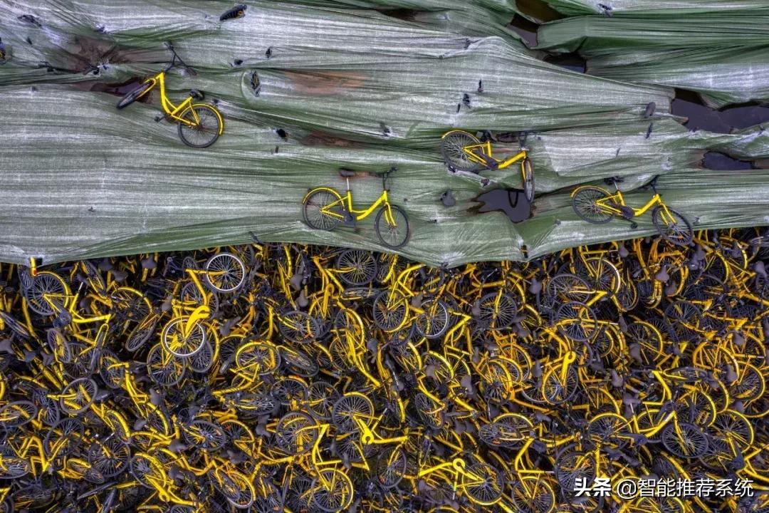 ofo最新现状,ofo最新资讯