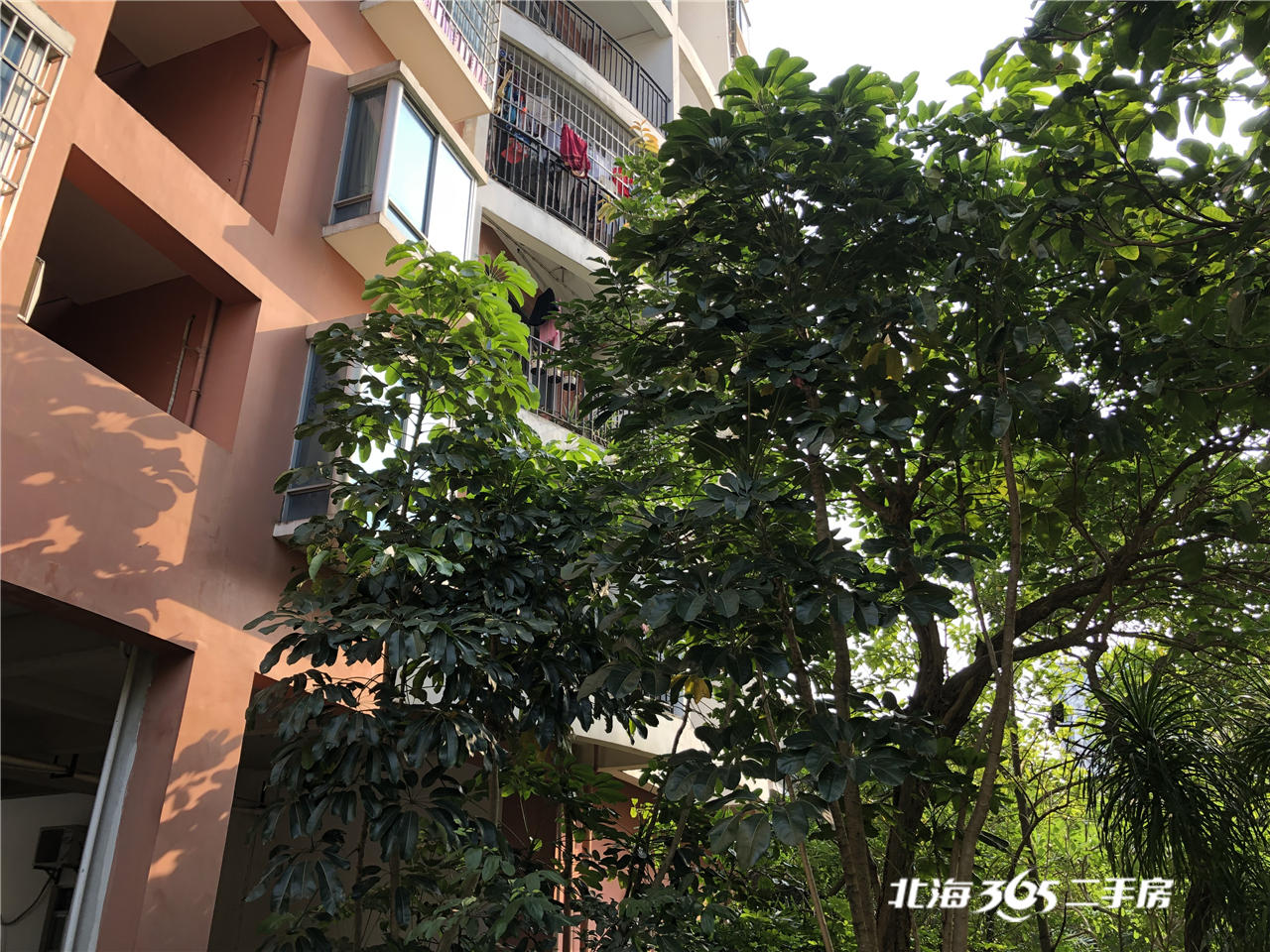 北海天富花苑离银滩距离,北海天富花苑