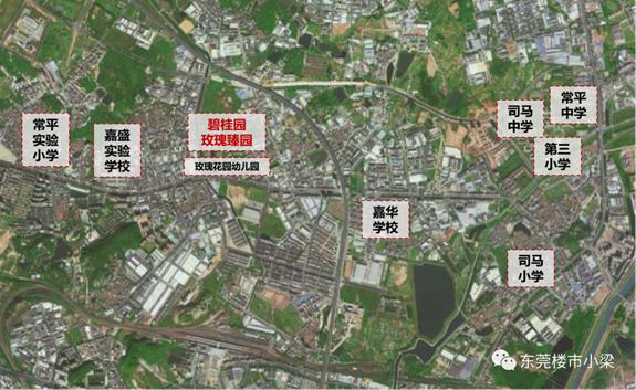 东莞常平碧桂园玫瑰臻园,东莞疫情最新楼盘