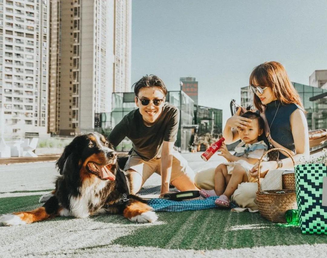 爱宠大机密作战计划,爱宠大作战作战计划