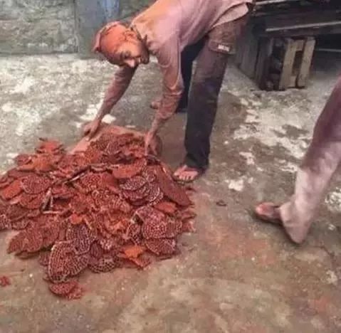 印度小叶紫檀高密野生料子,印度小叶紫檀高密度老料