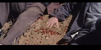 古月的传奇史,古月的传奇人生