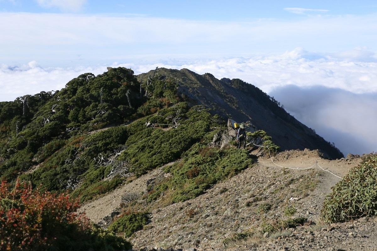 如果在野外迷路了要怎么发出求救,迷路急救方法