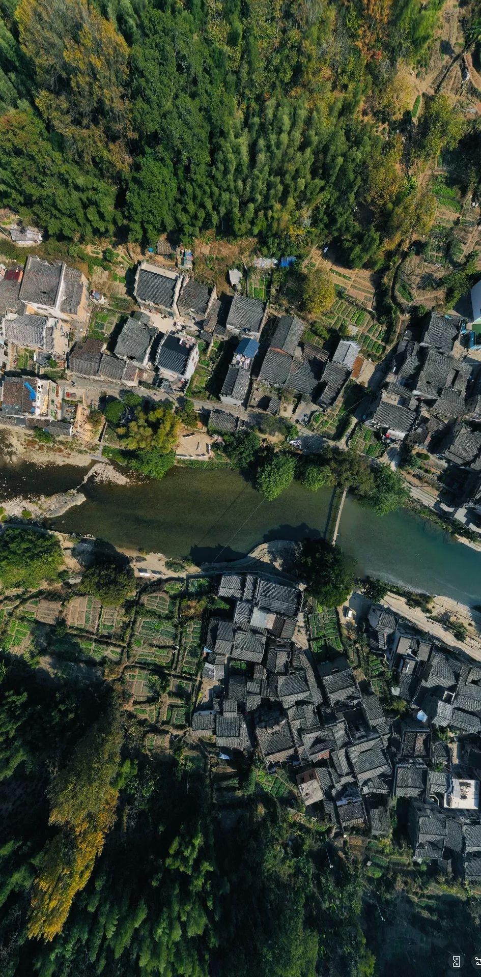 景德镇运势,景德镇五行属什么