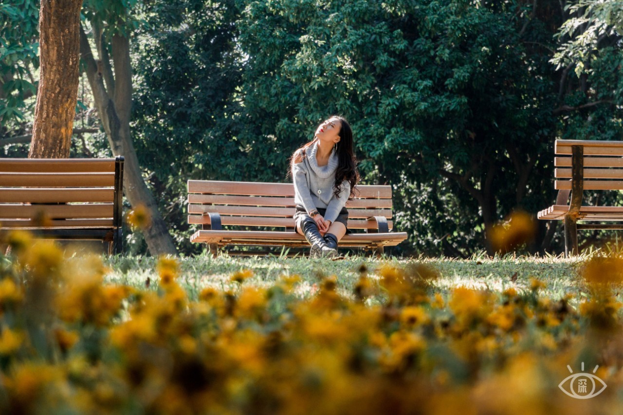深圳十大顶级公园,深圳市十大风景公园排名
