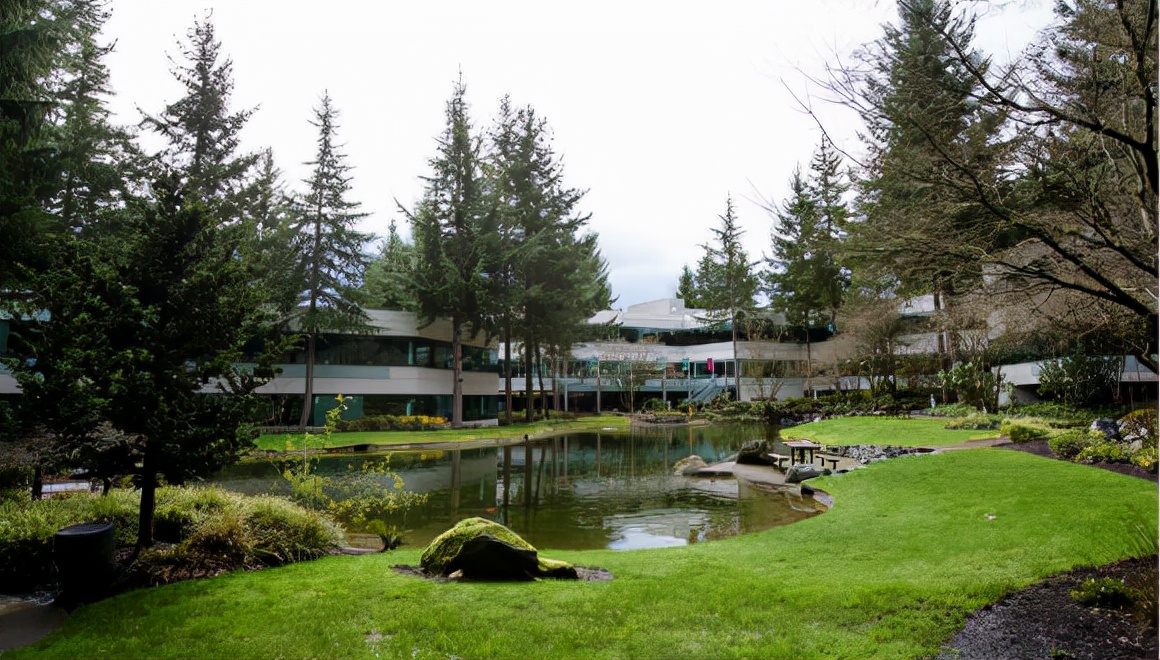 市值最大的科技公司,市值最高的科技公司