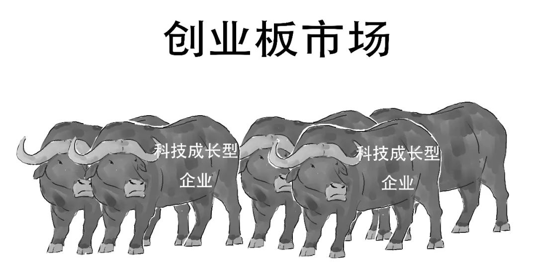 创业板注册制跟之前有什么区别,创业板注册制和以前有什么区别