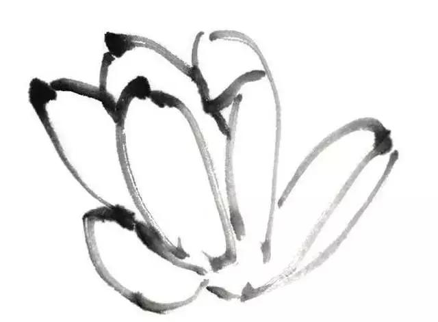 白描荷花的画法图片,如何画荷花国画白描
