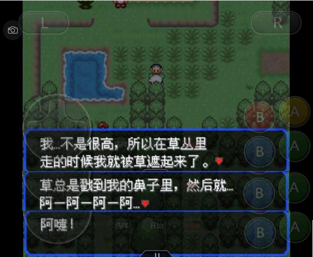 究极绿宝石4小智一周目攻略图文,究极绿宝石5.3如何才算完成一周目