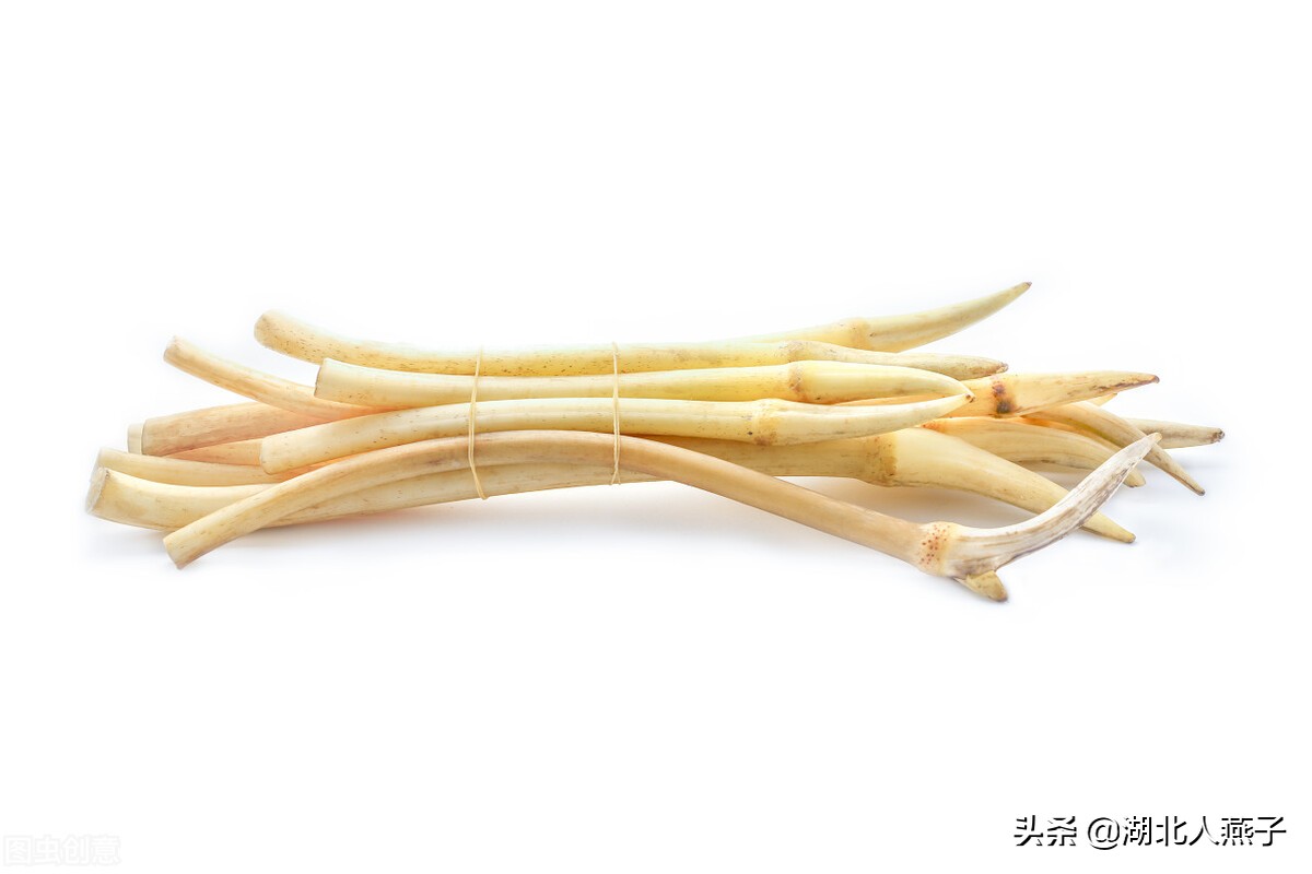 常见野菜的种类和图片大全 (各种野菜大全带图片)