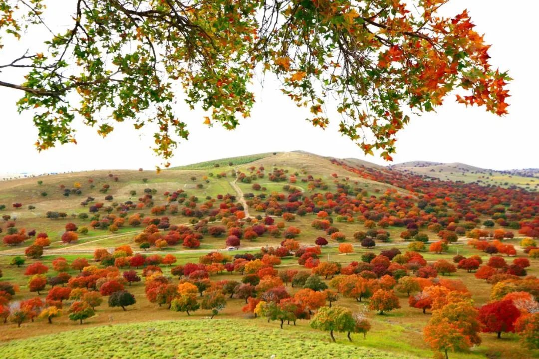 兴安盟五一假期玩的地方推荐,兴安盟五一放假去哪玩