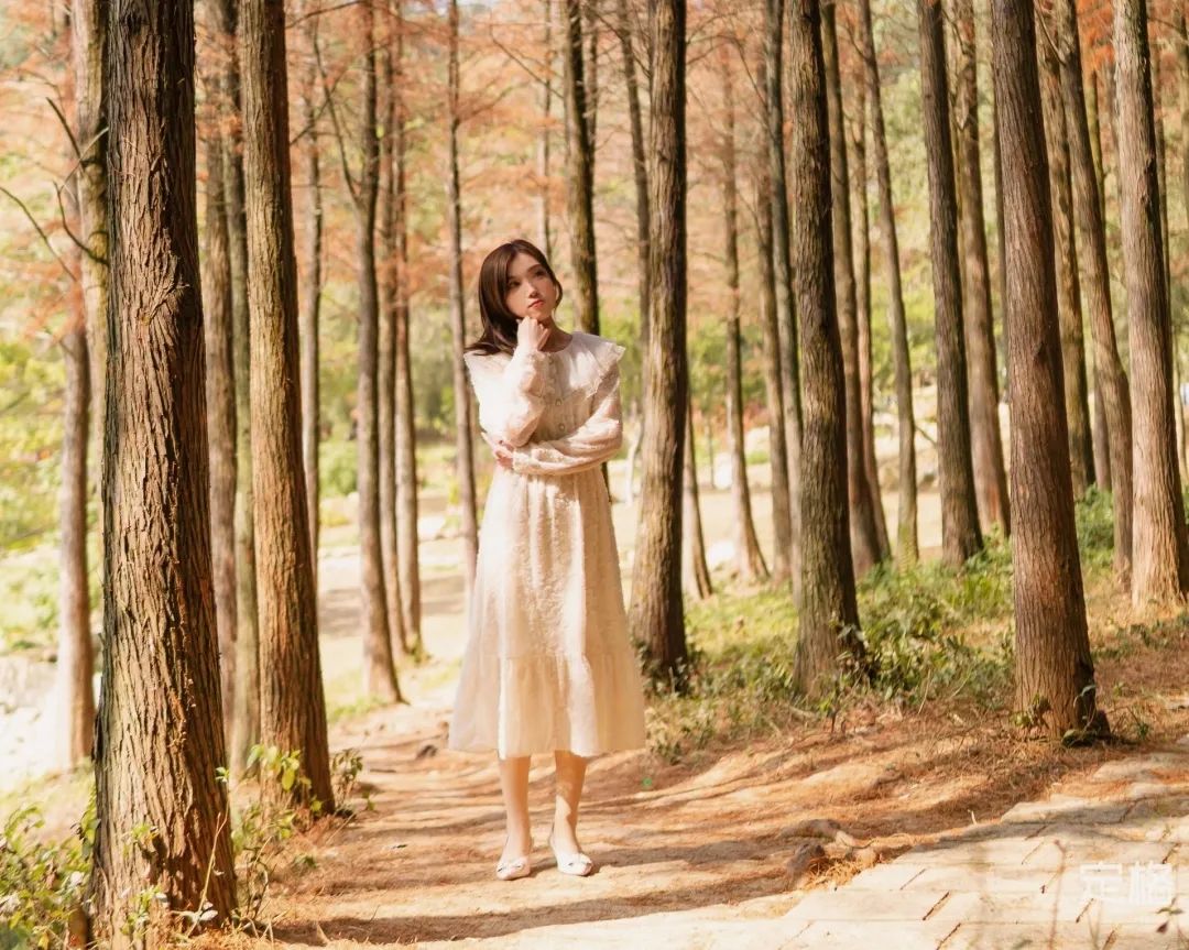 莲花山为啥一夜就火了,莲花山景区