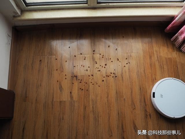 铲屎官不再抓耳挠腮的福利，千元扫地机器人小狗R30上手体验