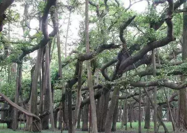 中国那些不可思议的奇观,中国地质奇迹视频