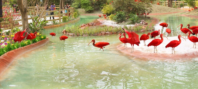 广州长隆园区游玩时间攻略,超详细的广州长隆游玩攻略