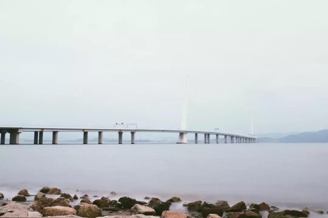 深圳湾公园这里有什么好吃的,深圳湾在哪里