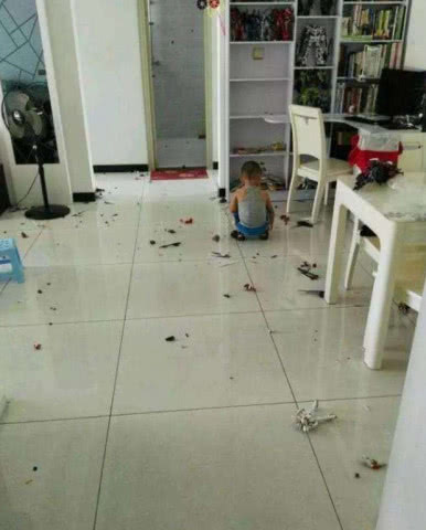 价值千万的手办被熊孩子弄坏后续,自家珍藏的手办被熊孩子毁了一地