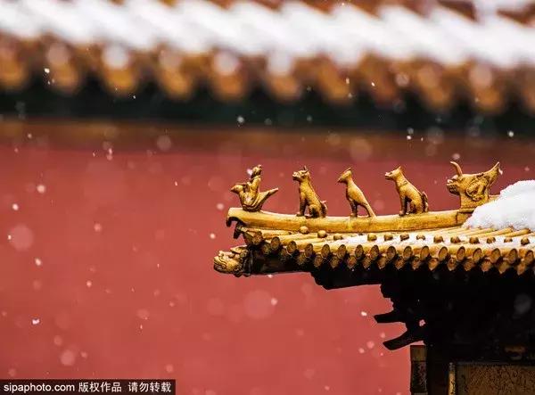 细赏颐和园之秋色冬韵,让我们看看冬日颐和园的美景