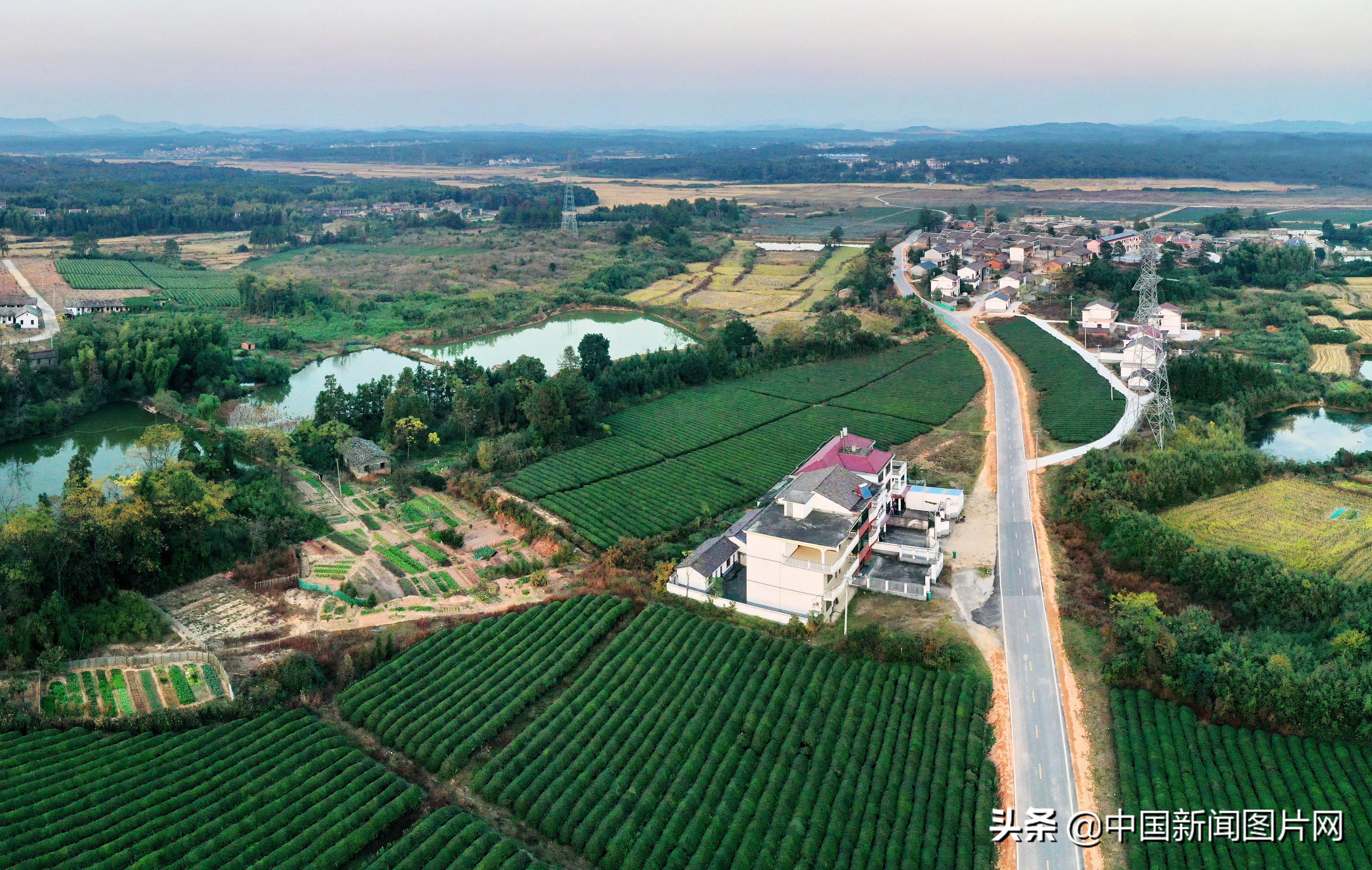 江西抚州幸福家园,江西金溪生态乡村美如画组图