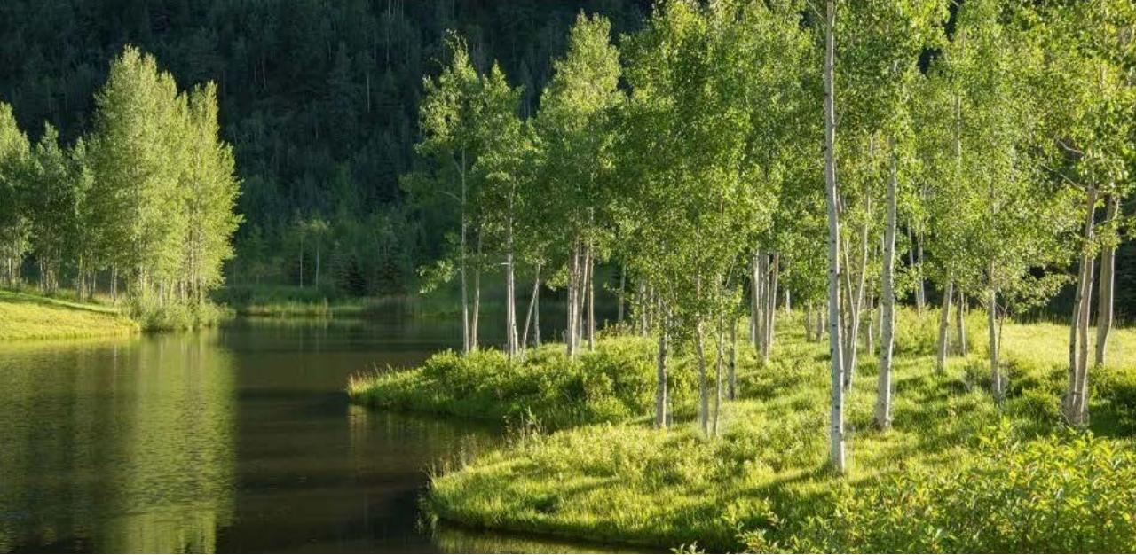 双福山水湖城,江津双福中央公园效果图