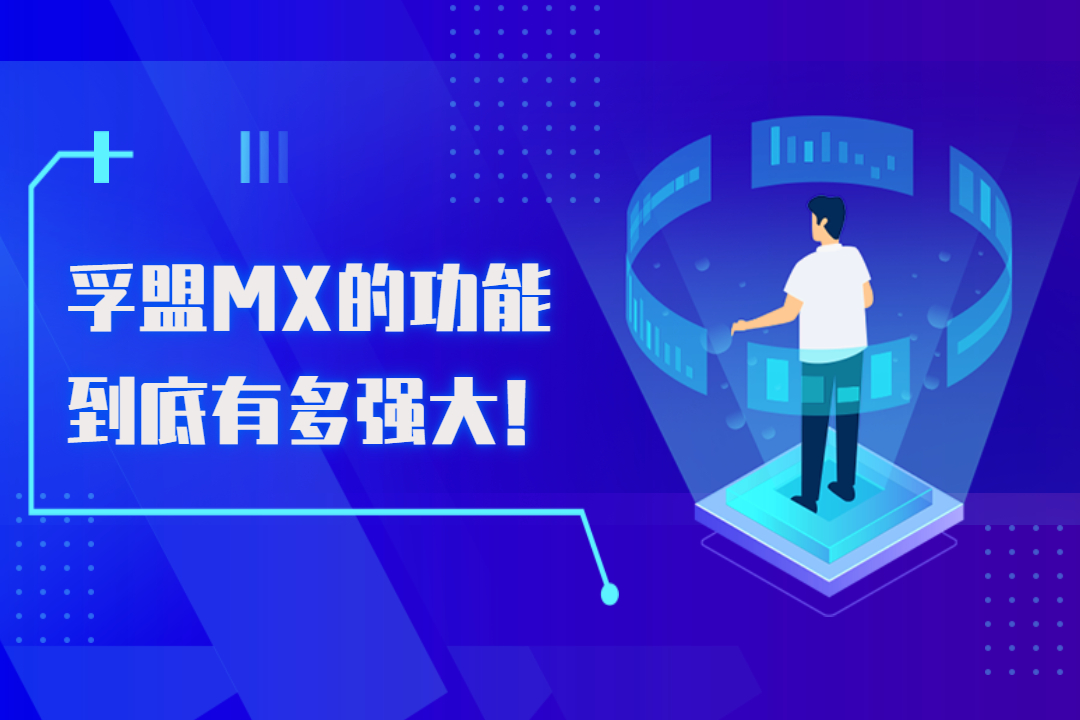 孚盟管理软件的优缺点,孚盟MX