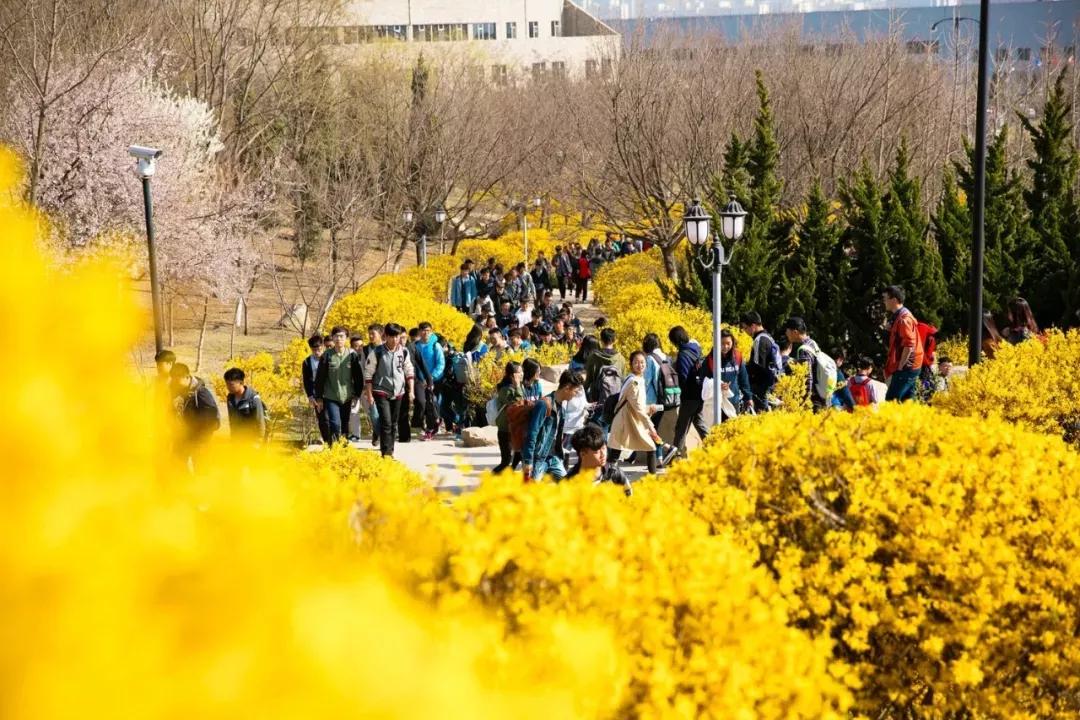 辽宁省民办大学（二）大连东软信息学院