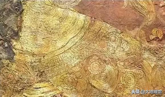 石榴早在2000多年前经过丝绸之路,石榴传奇全书