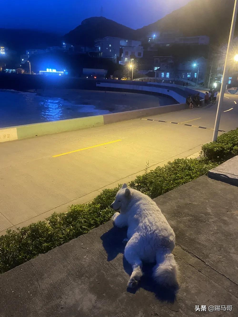 海南东极岛自由行攻略 (嵊泗列岛东极岛枸杞岛哪个值得去)