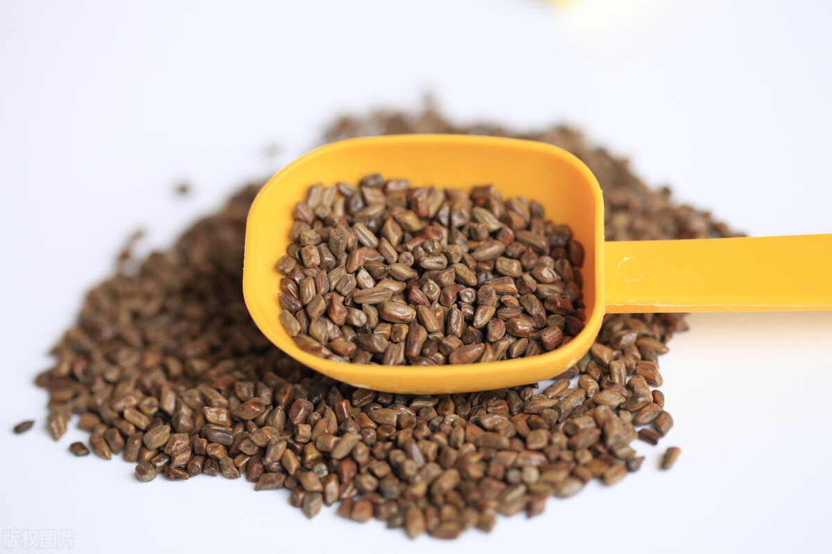 肝不好眼睛干眼睛疼怎样保护,肝脏导致眼睛干涩应该吃什么药