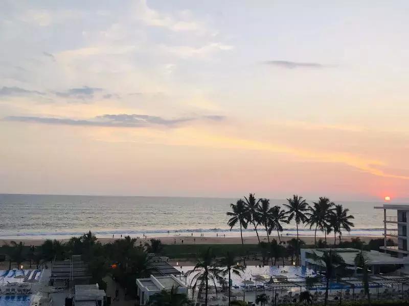 一生必去一次的神奇国度，榴莲白菜价，还有千与千寻里的海上火车