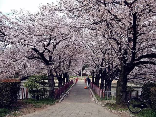 长沙身份证430102,长沙42开头的身份证