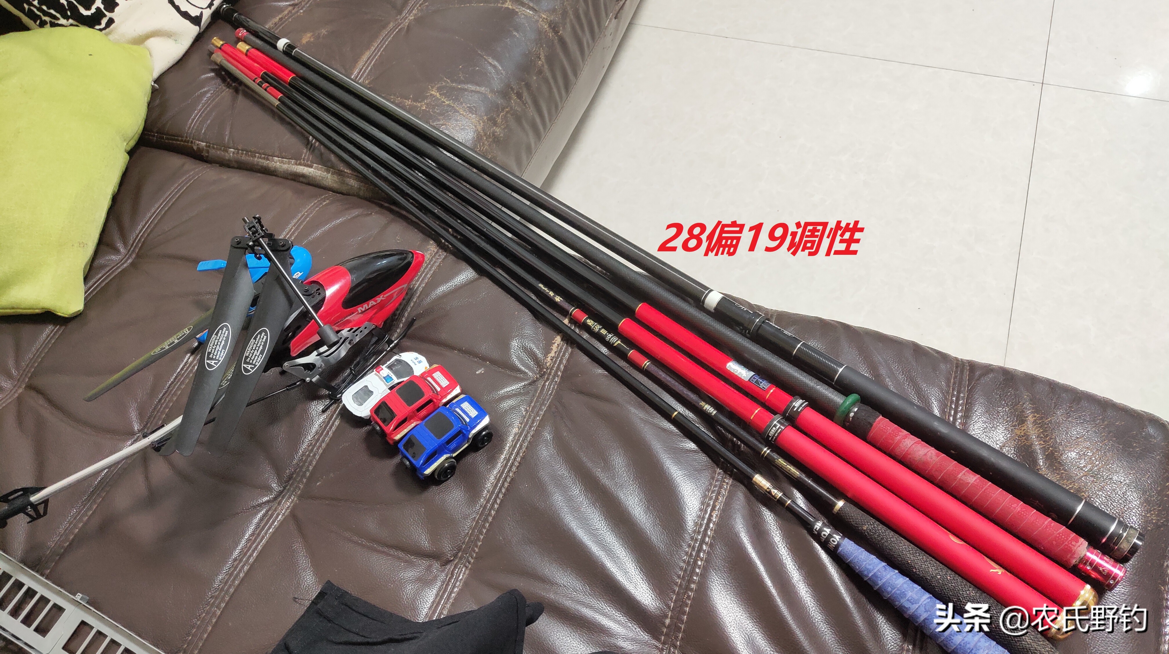 学会这种钓法，野钓鲮鱼一口一个准，爆护不再是只是传说