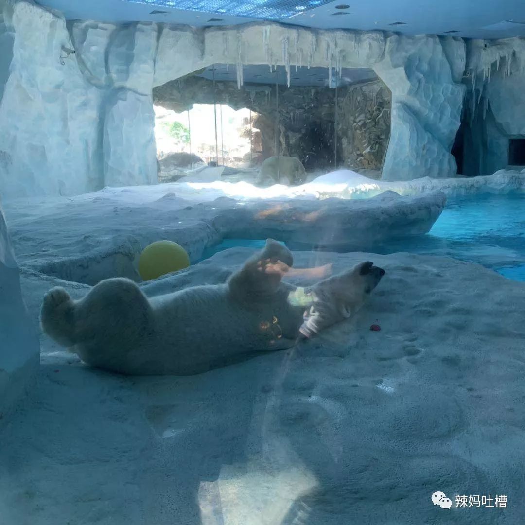 珠海长隆企鹅海洋王国攻略,珠海长隆海洋王国攻略2天亲子游