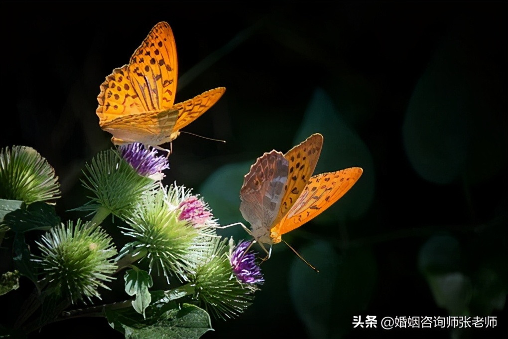 一个执意要离婚的男人怎么挽留,怎么样挽留要离婚的人