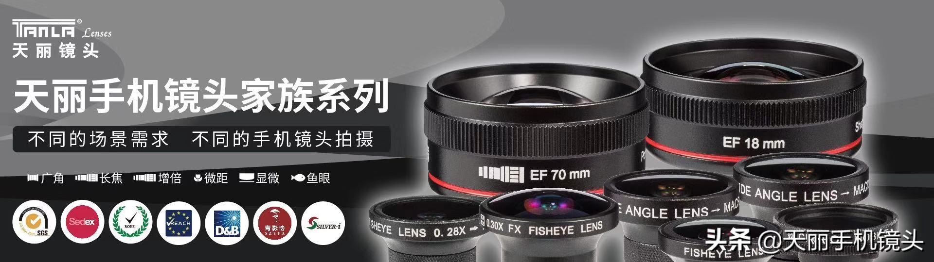 天丽镜头签约摄影作品,天丽长焦镜头