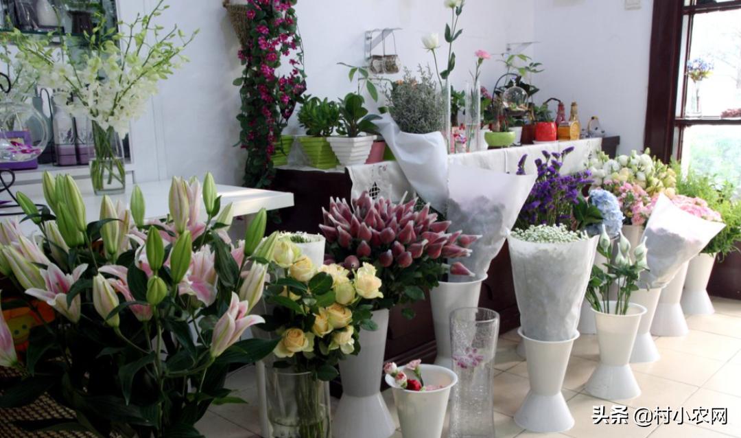 农村创业项目快速赚钱,新农村创业适合做的几个生意项目