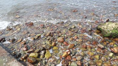 杨梅坑旅游攻略超详细版,魅力杨梅坑