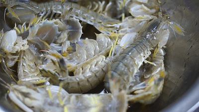 有一种炫富叫青岛开海,有一种炫富叫青岛开海了