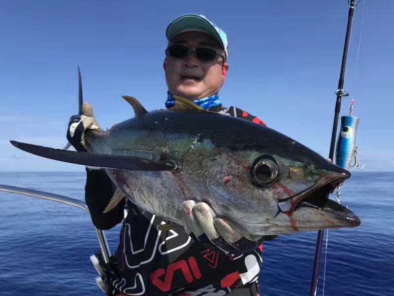 海钓必备装备推荐大全,海钓装备入门推荐最新