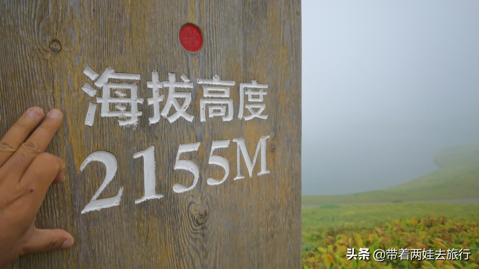 2020的第1场雪你想和谁一起拍,2020西岭雪山第一场雪