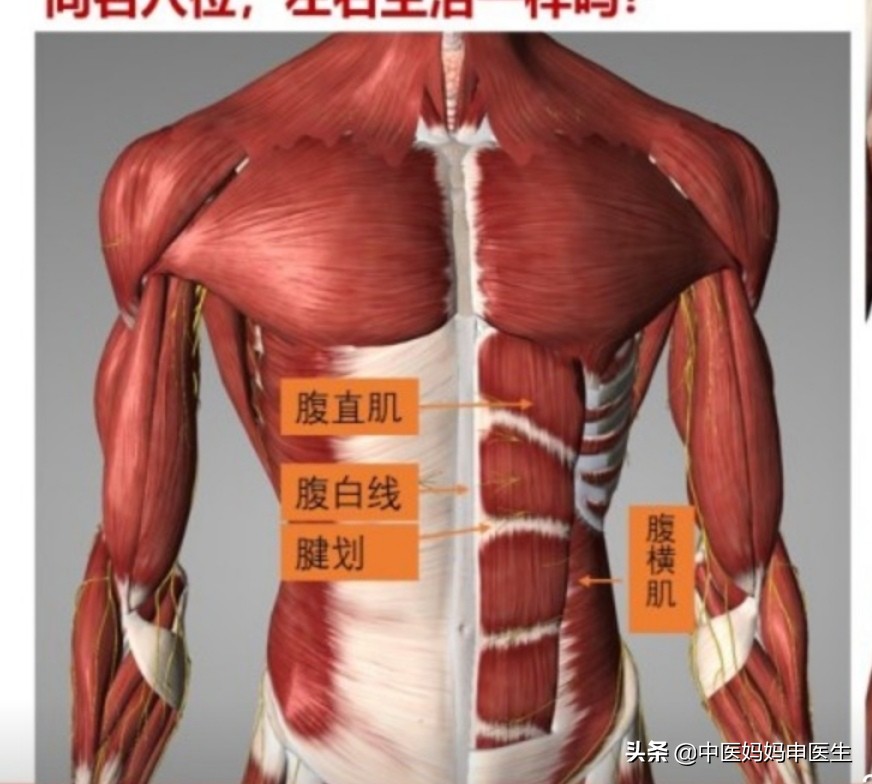 月经周期35天衰老速度,月经25天和35天的区别
